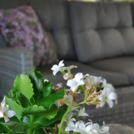 Aquavert Bed and breakfast Tournai