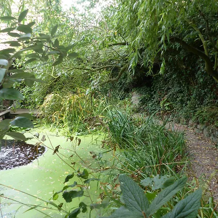 Aquavert ベッド・アンド・ブレックファスト