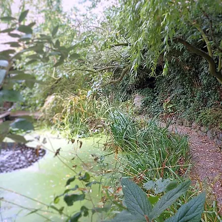 Aquavert Panzió 4*