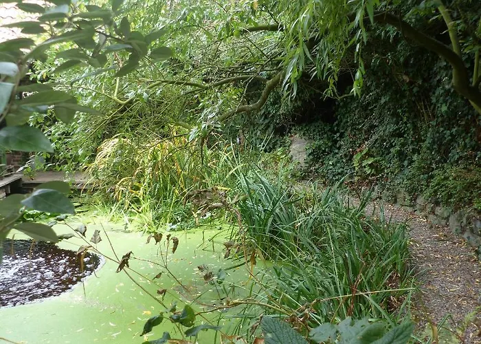 Aquavert Alojamento de Acomodação e Pequeno-almoço