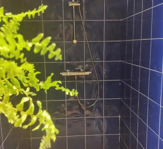 Alojamento de Acomodação e Pequeno-almoço Aquavert