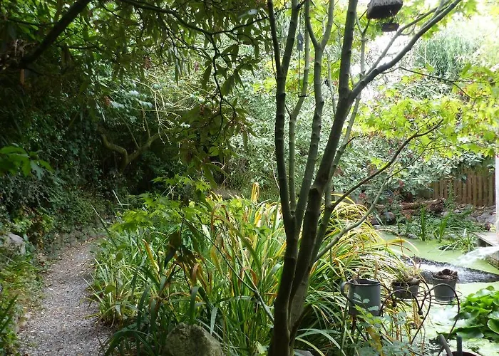 Alojamento de Acomodação e Pequeno-almoço Aquavert